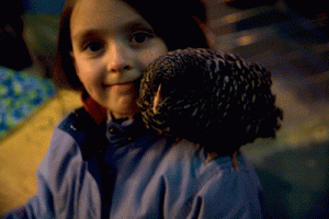 Photo by Zoey Duncan. A young chicken enthusiast at the premiere of Mad City Chickens at the Plaza Theatre in Kensington.