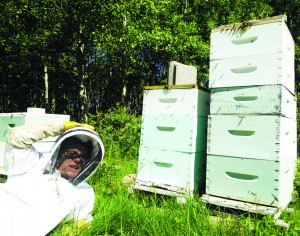 Meg Braem poses with her hives | Photo courtesy of Will Pratt