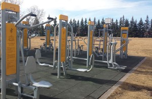 These outdoor fitness machines behind the Louise Riley Library next to North Hill Mall are a great way for you to get some Vitamin D, fresh air and get in a killer workout | Photo by Heather Macarone