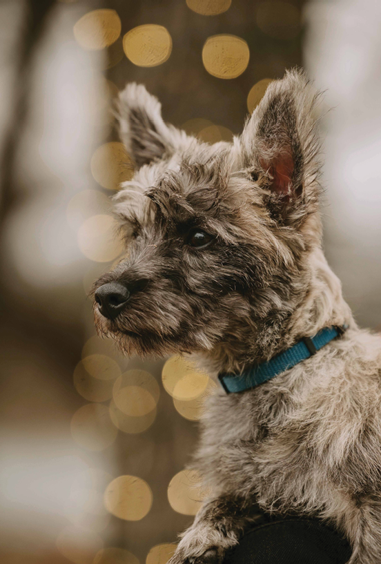 We aren’t in Kansas anymore